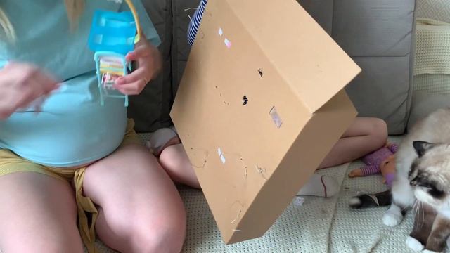 Подарок просто так, о котором мечтала Ева смотреть онлайн