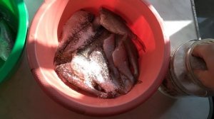 Как засолить рыбу для сушки