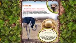 Самая первая энциклопедия. УДИВИТЕЛЬНЫЕ ЖИВОТНЫЕ. The very first encyclopedia. AMAZING ANIMALS.