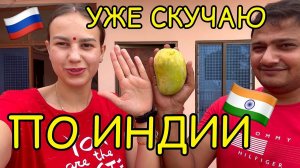 Еще не уехали из Индии, но уже скучаю. Манго в нашей жизни. Что только не готовим из него