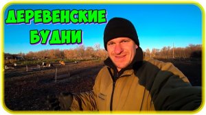 Эх, МАЛО КУПИЛ.. Занимаюсь гаражом / Выгоняю коров / Собираем яблоки