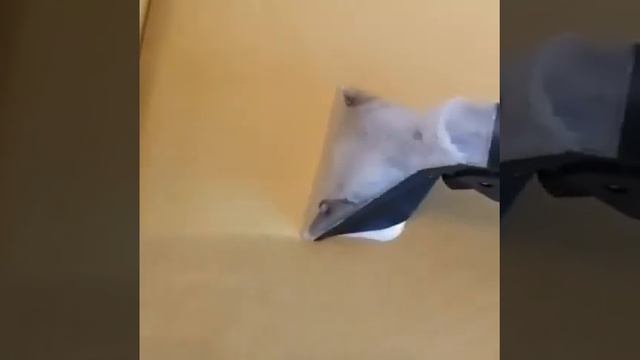 Профессиональный пылесос для химчистки мебели смотреть онлайн