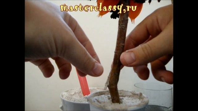 Топиарий из природных материалов 