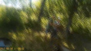 Смотрим и рассказываем историю про "старый колодец"