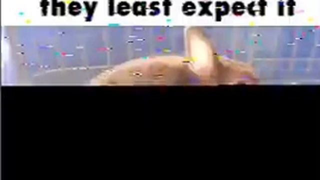 #угар #lol #шутка #смешноевидео