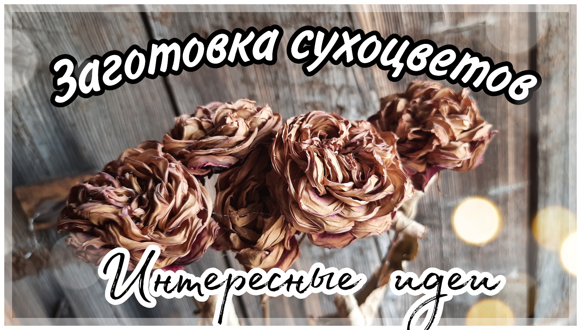 Заготовка цветов для творчества. Сухоцветы.#сухоцветы#заготовки#творчество