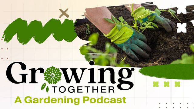 Plan ahead to make the most out of your trip to the garden center