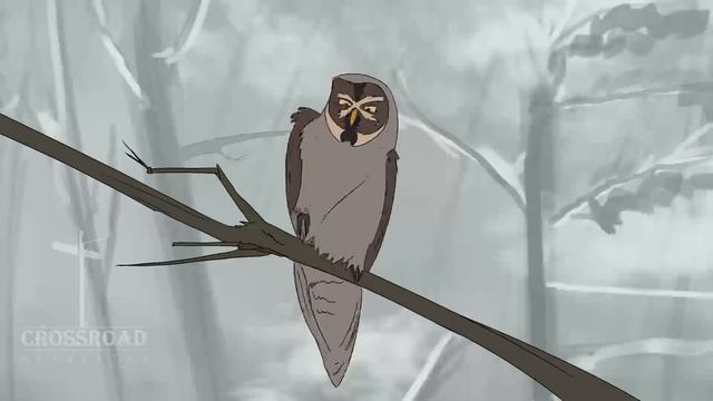 Quick Owl Animation смотреть онлайн