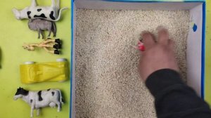 Учим Животных на английском Корова Динозавр Лошадь Тигр Развивающие Мультики для Детей
