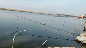 Рыбалка в Краснодарском крае,Павловский район,Станица "Новопластуновская ".