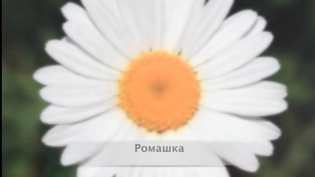 Слова для развития детей до 3-х лет! часть 2 смотреть онлайн