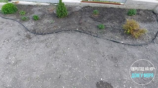 Обустройство клумб.  Меняем фильтр:  Ну и вода...
