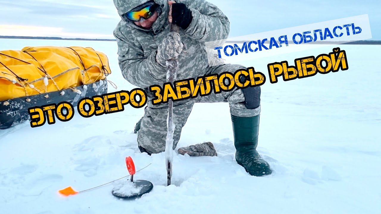 Это ОЗЕРО ЗАБИЛОСЬ РЫБОЙ!!?? Сюда НЕ ДОБРАТЬСЯ ЛЕТОМ!! ЗЛЫЕ ОКУНЯ И ЩУКИ НА ОЗЕРЕ!! ТОМСКАЯ ОБЛАСТЬ смотреть онлайн