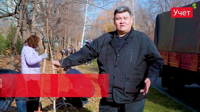 Аллея Бухгалтеров от Группы Компаний Учёт