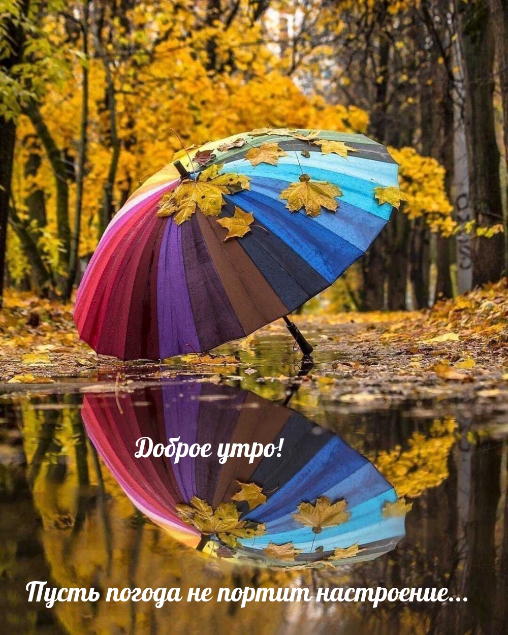 С Добрым Утром! Просыпайся, Улыбайся! Музыкальная Открытка