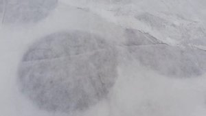 Укрываем мяту на зиму