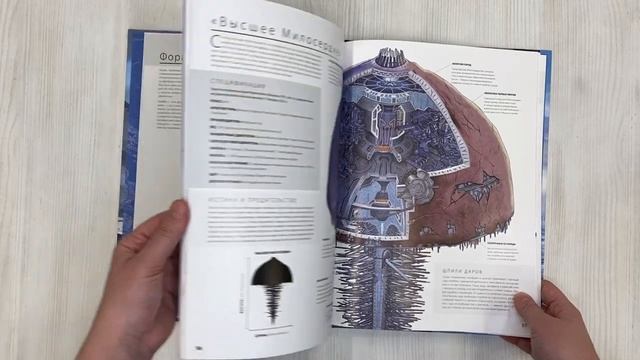 Halo: Боевой флот. Иллюстрированная энциклопедия военных кораблей Halo смотреть онлайн