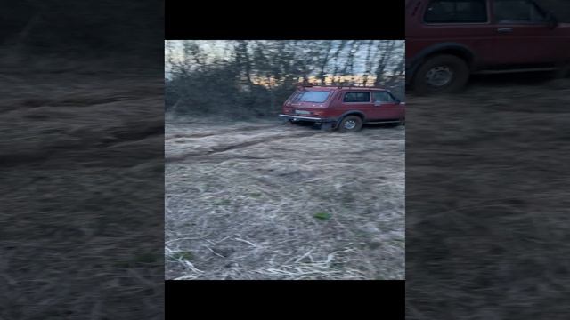 Первое видео