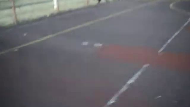 Доберман и мячик смотреть онлайн