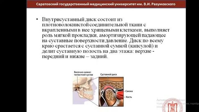 Зубочелюстная система как единый анатомо-функциональный комплекс. Лекция от 06.11.2020