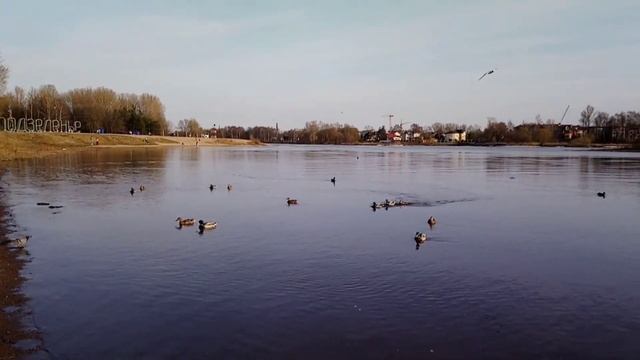Ярославль. Река Которосль. 16.04. 2021 г.