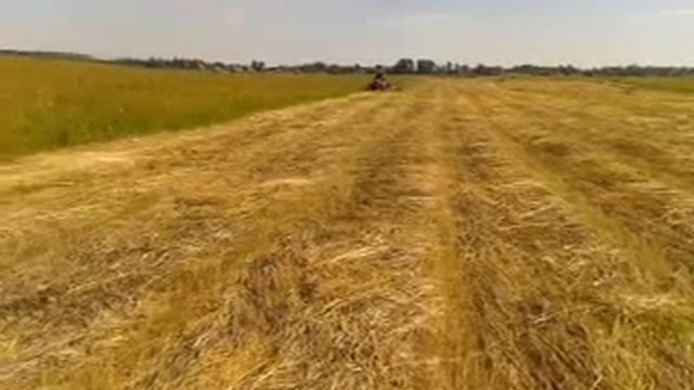 уборка сена смотреть онлайн