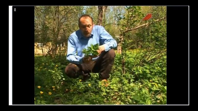 СНЫТЬ ОТЛИЧИЯ смотреть онлайн