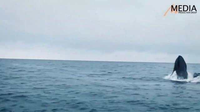 Гастрономический тур в Мурманск "Попробуй Арктику на вкус!"