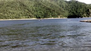 Ветерок 8 выход на глис, на пвх таймыр 320 к