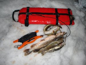 Подводная охота  с Григорием много рыбы 16.03.2024
Снято на камеру GoPro HERO +