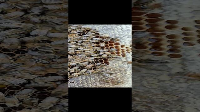 Проверили состояние МАТКИ