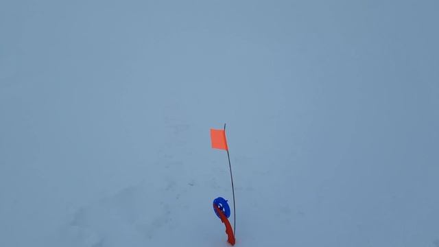 Судак на жерлицы!!!Рыбалка на оз.Вселуг!!! смотреть онлайн