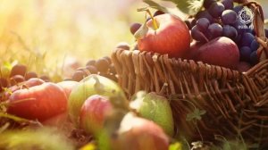 ГДЕ БРАТЬ БЕЛОК ВЕГЕТАРИАНЦУ? Станислав Беловидов