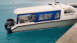 Мальдивы.Fulidhoo.пляж.едим кокос. рыбалка,поймали рыбу GT,обзор speedboat. мурена.рыбалка с берега