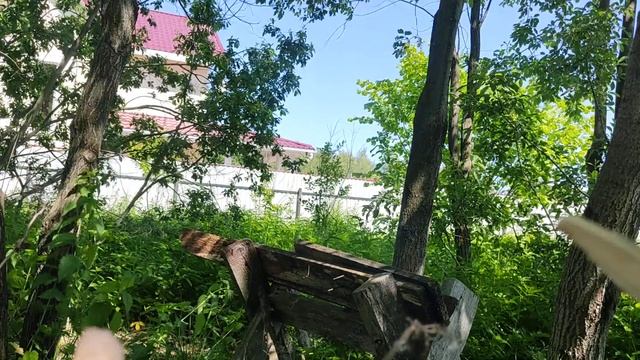 Заготовка деревяшек смотреть онлайн