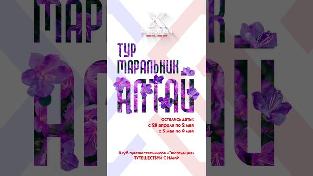 Маральник цветет несколько дней. Спешите к нам за туром #алтай #маральник #beauty #путешествия #тур