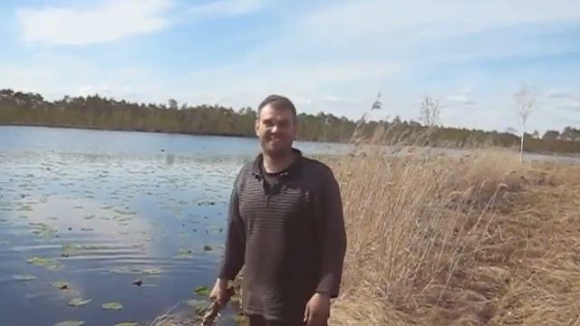 Соломономобиль-3 , корень жизни :) смотреть онлайн