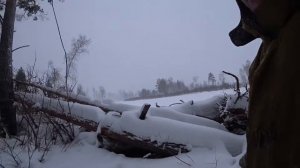 Газ 53 с редуктором от Газ 66 Этот газик может Заготовка дров Глубокий снег не помеха