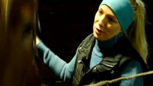 В «Конном мире» начался предновогодний ажиотаж