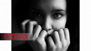 Все богатые - жадины? Откуда берутся капиталисты?