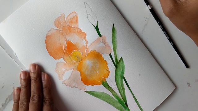 How to Paint Iris in Watercolour Part 2 - Hello Clarice Tutorials