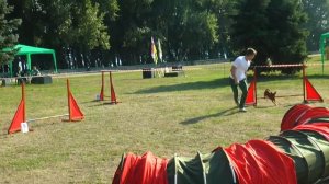 SCARLET GIRL IZ LOB and Serhii Hryhorov at the agility competition