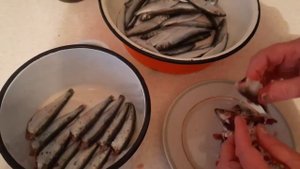 Шпроты из кильки. Как приготовить домашние шпроты. Еда, food