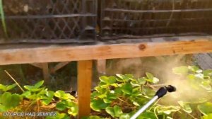 КЛУБНИКА В ТЕПЛИЦЕ/ОБРАБОТКА И ПОДКОРМКА КЛУБНИКИ ПО ЛИСТУ.