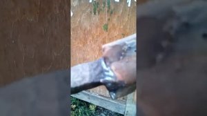 Самодельное оружие ближнего боя