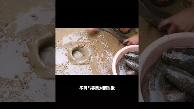 как крокодил помогает ловить рыбу смотреть онлайн