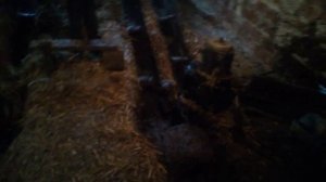 как работают наклонные транспортеры.