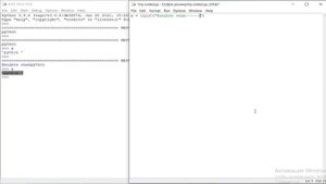 Команда input в python. Что это такое?? 5 УРОК