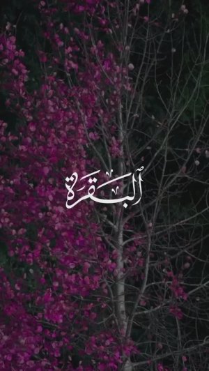 2 Корова | al-Baqarah | سورة البقرة verse 85 Tareq Mohammad Мухаммад Тарик