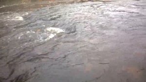 Водомет Карась через перекат